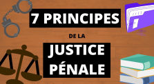 7 grands principes de la justice pénale by État Cryptique